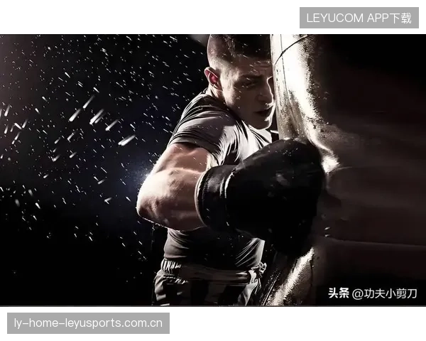 UFC地面锁技大揭秘：制服对手的终极武器